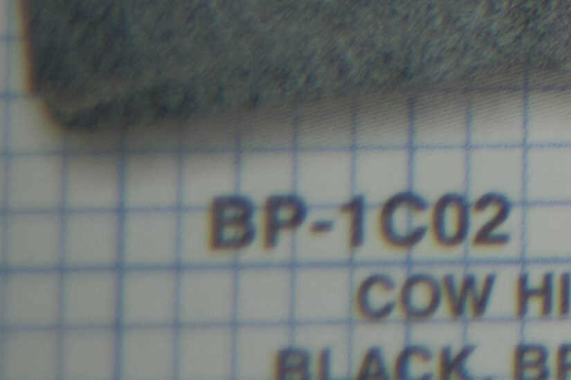 Sigma 56mm F1.4 DC DN ( f/1.4, 1/450sec, ISO-320, 56mm )