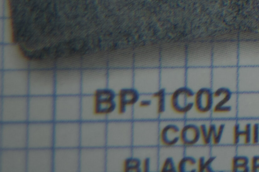 Sigma 56mm F1.4 DC DN ( f/2, 1/220sec, ISO-320, 56mm )
