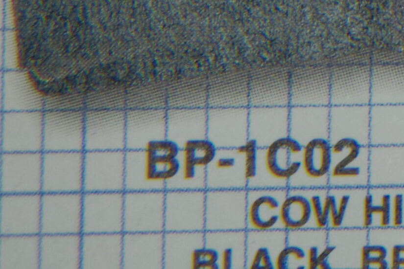 Sigma 56mm F1.4 DC DN ( f/4, 1/56sec, ISO-320, 56mm )