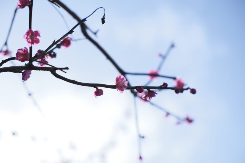 X-M5 ( f/2.8, 1/3200sec, ISO-320, 35mm )