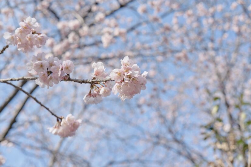 X-M5 ( f/5.6, 1/680sec, ISO-320, 35mm )