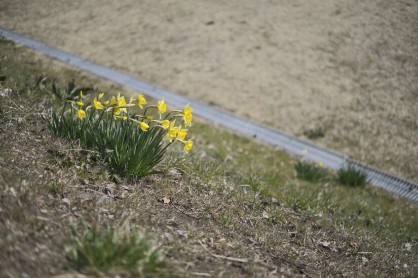 X-M5 ( f/2, 1/10500sec, ISO-320, 35mm )