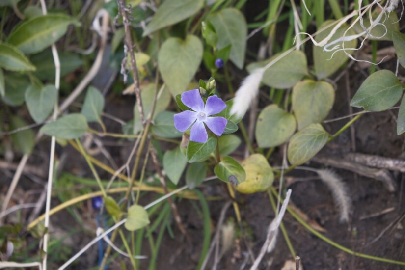 X-M5 ( f/4, 1/200sec, ISO-320, 55mm )