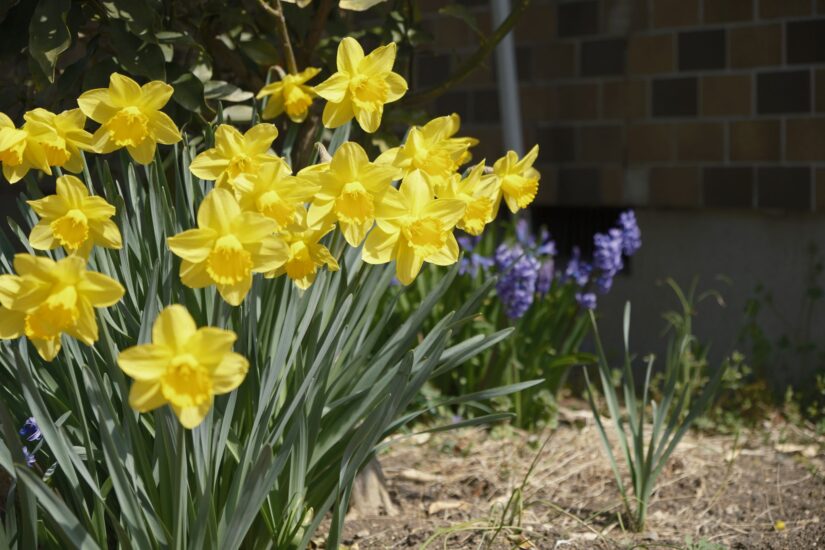 X-M5 ( f/4, 1/2000sec, ISO-320, 44.4mm )