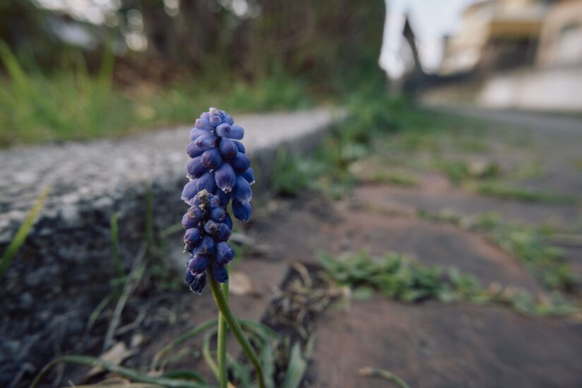 X-M5 ( f/5.6, 1/100sec, ISO-500, 15mm )