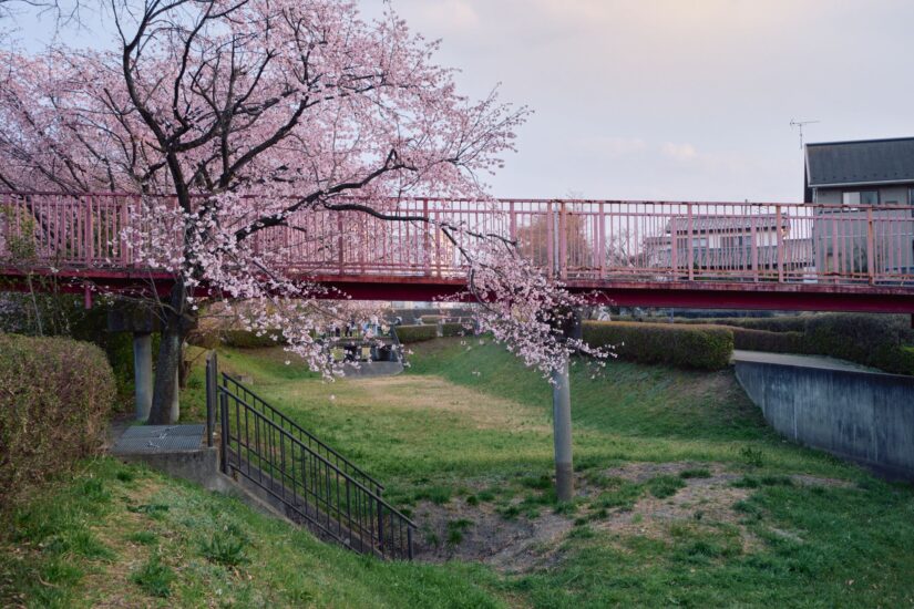 X-M5 ( f/5.6, 1/100sec, ISO-640, 28mm )