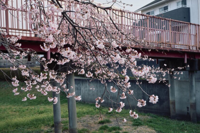 X-M5 ( f/5.6, 1/100sec, ISO-640, 28mm )