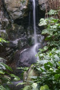 X-M5 ( f/11, 1/3sec, ISO-320, 39.2mm )