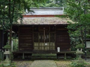 OM-3 ( f/5.6, 1/25sec, ISO-1000, 25mm )